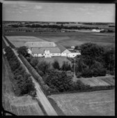 1962